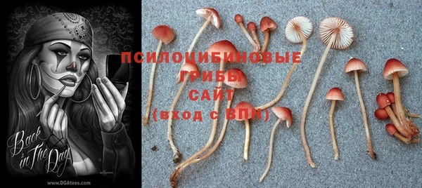 прущий лед Балабаново